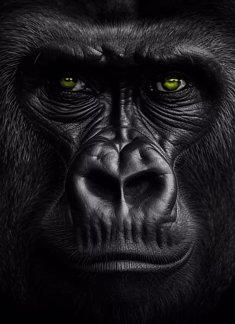 monkeys_gorilla_home_smart2025-2.avif